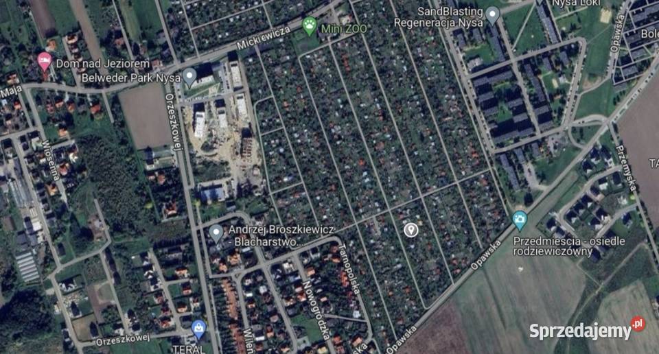 Sprzedam działkę ROD MICKIEWICZA opolskie Nysa