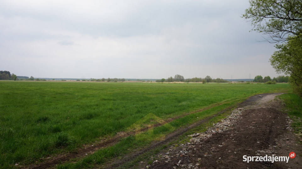 Nieruchomość w Całowaniu