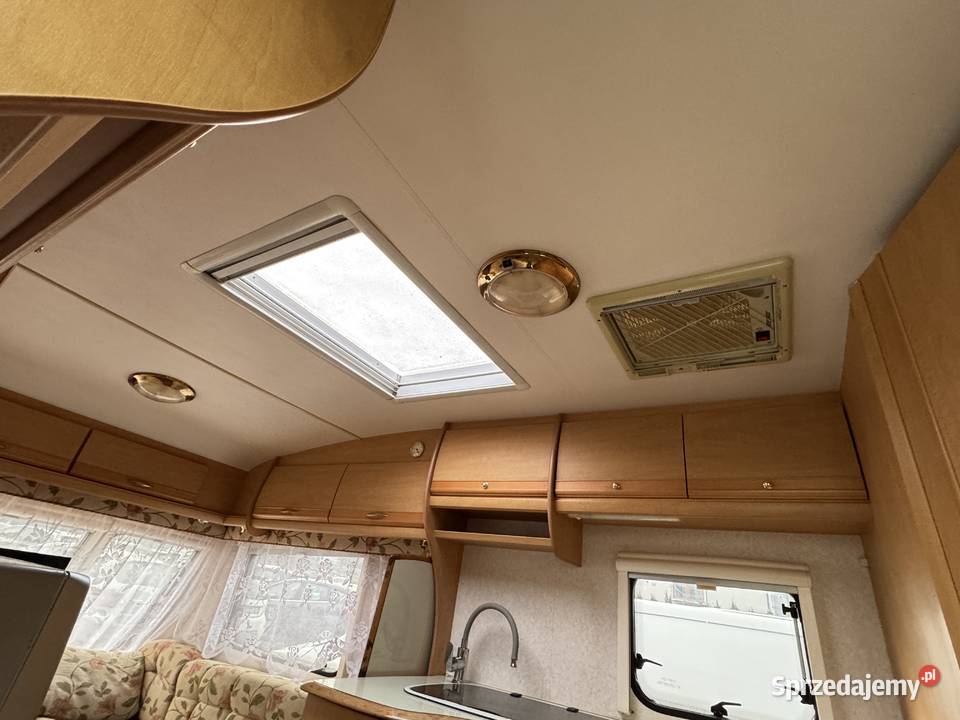 BAILEY Pageant Monarch Zarejestrowana DMC1202 VAT marża Sanok