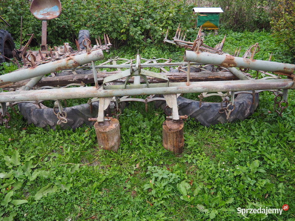 Brony 5 polowe podkarpackie