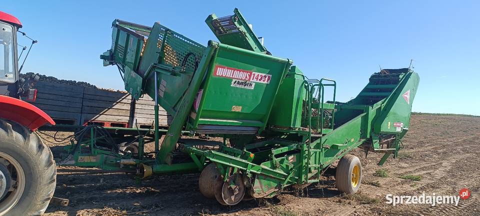 Kombajn do ziemniaków Wuhlmaus 1433P Smoniowice