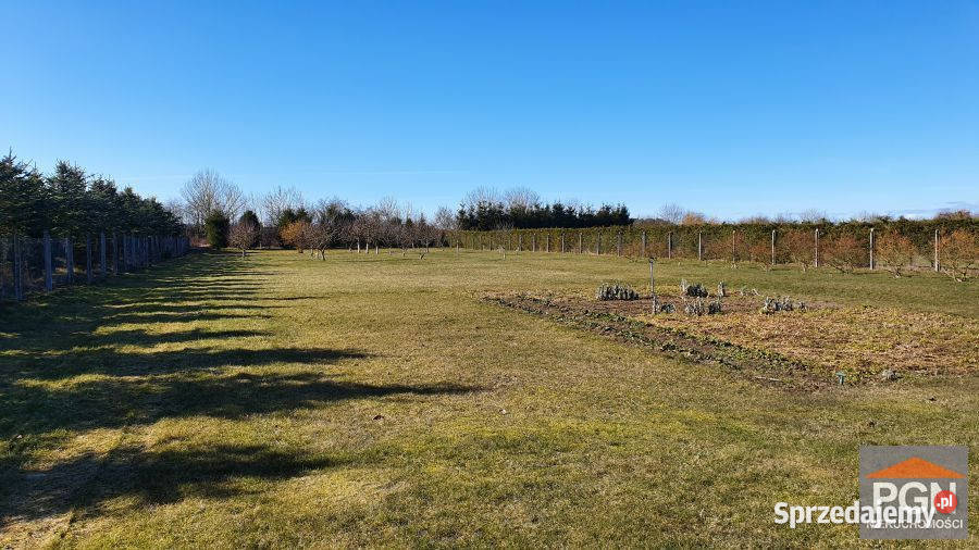 sprzedaży działki 2711m2 Płoty sprzedam