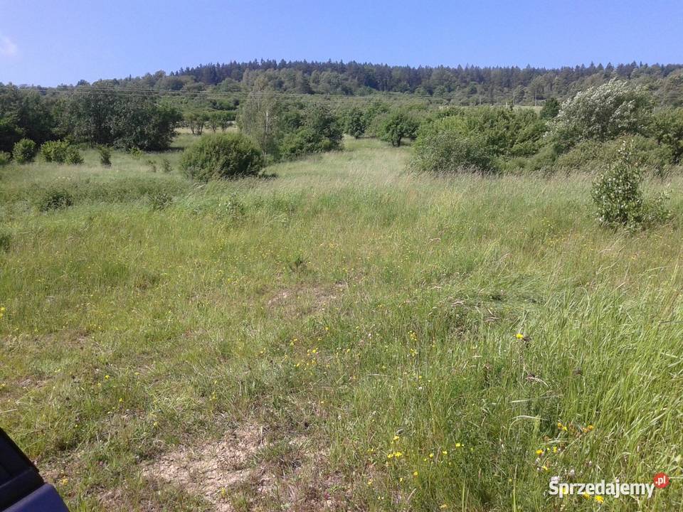 Sprzedam działkę łąke ok 4000m Małastów polna sprzedam