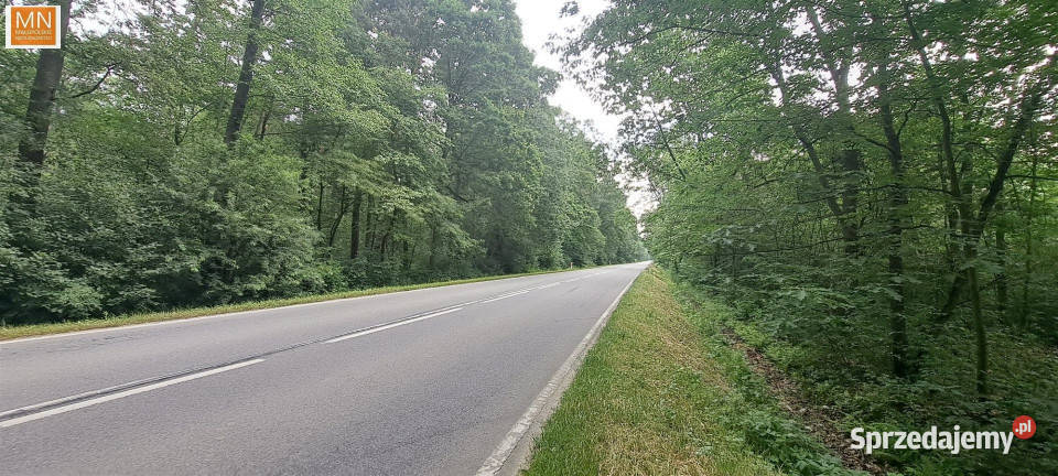 Działkę sprzedam 28900m2 Borzęcin małopolskie
