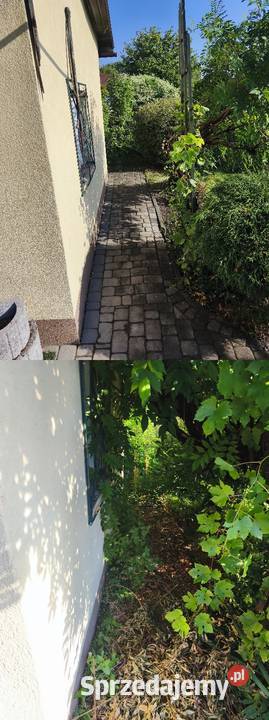 Ogrodnik koszenie trawy przycinka drzew Zabrze