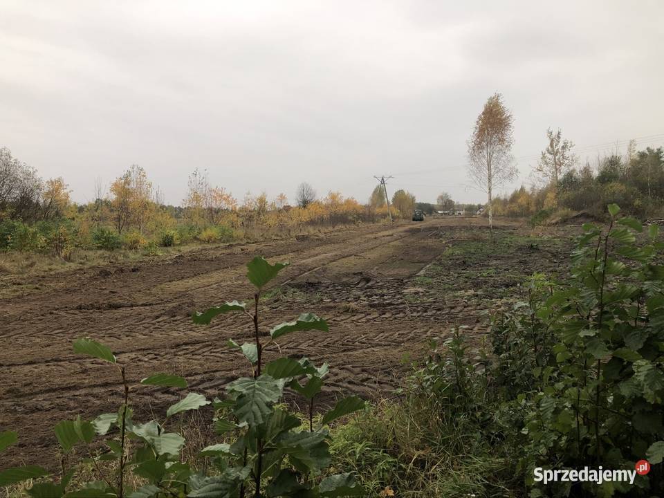 Działka z WZ 1500m2 Sprzedaż mazowieckie Sokule