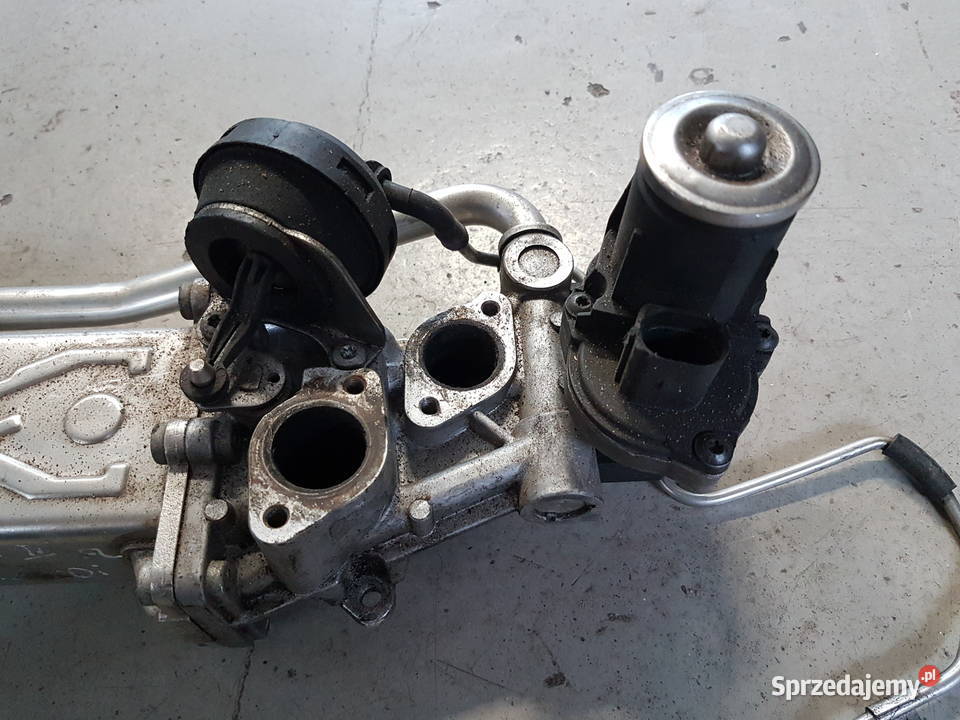 VW SKODA 16 TDI CAYC CAY CHLODNICA SPALIN EGR osobowe Turek