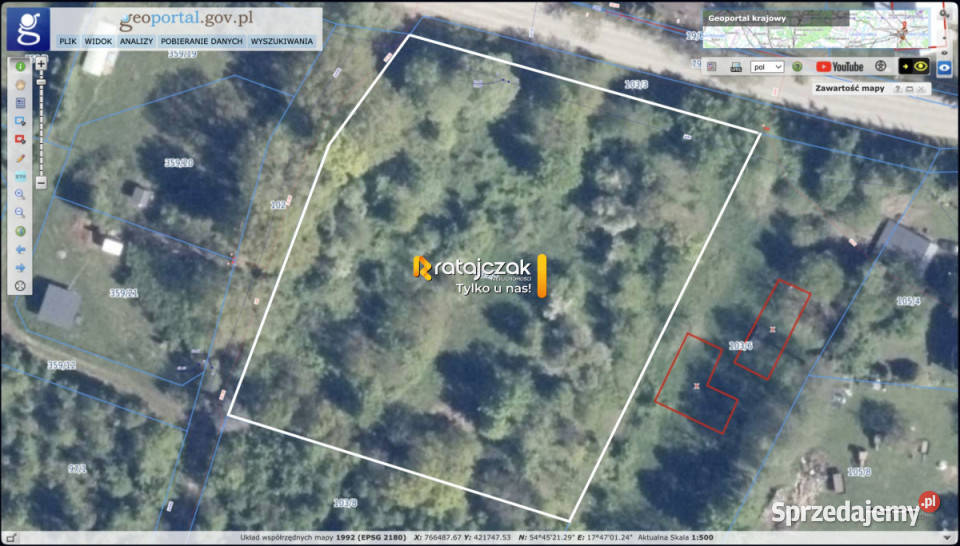 Grunt Ciekocino Dębowa 6066m2 sprzedam