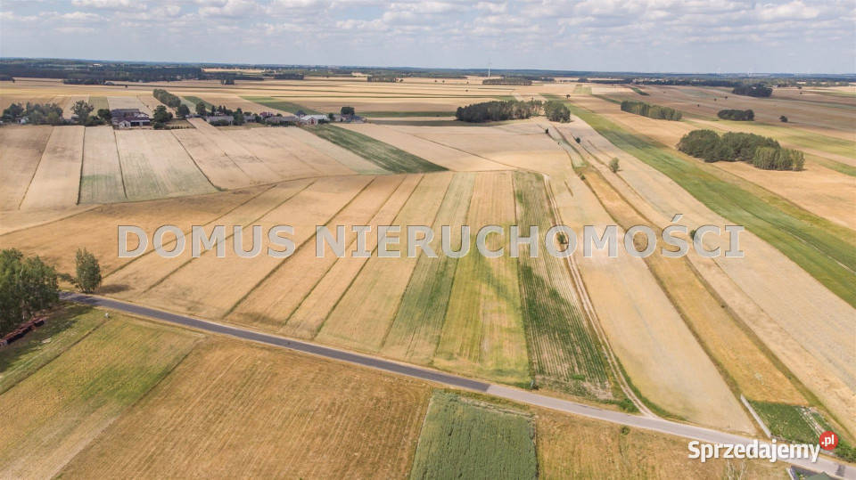 Do sprzedaży działka 4700m2 Chociszew