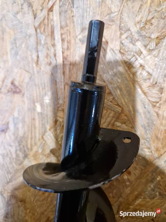 ŚWIDER OGRODOWY WIERTNICA GLEBOWA WIERTŁO ZIEMI wielkopolskie Głogowa
