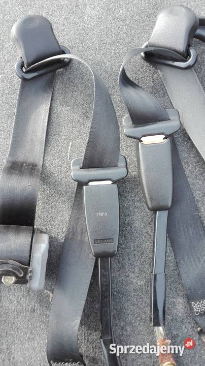 Paay przod przednie polonez borewicz caro Pozostałe Pozostałe Suskowola