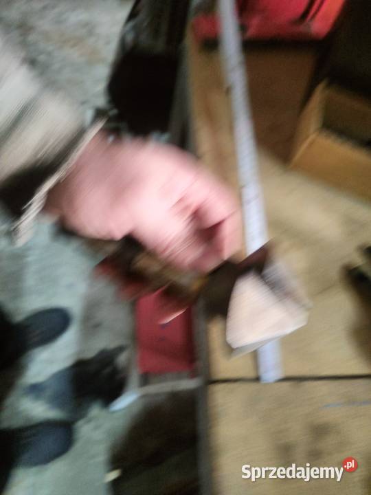 Fazownik wielkopolskie