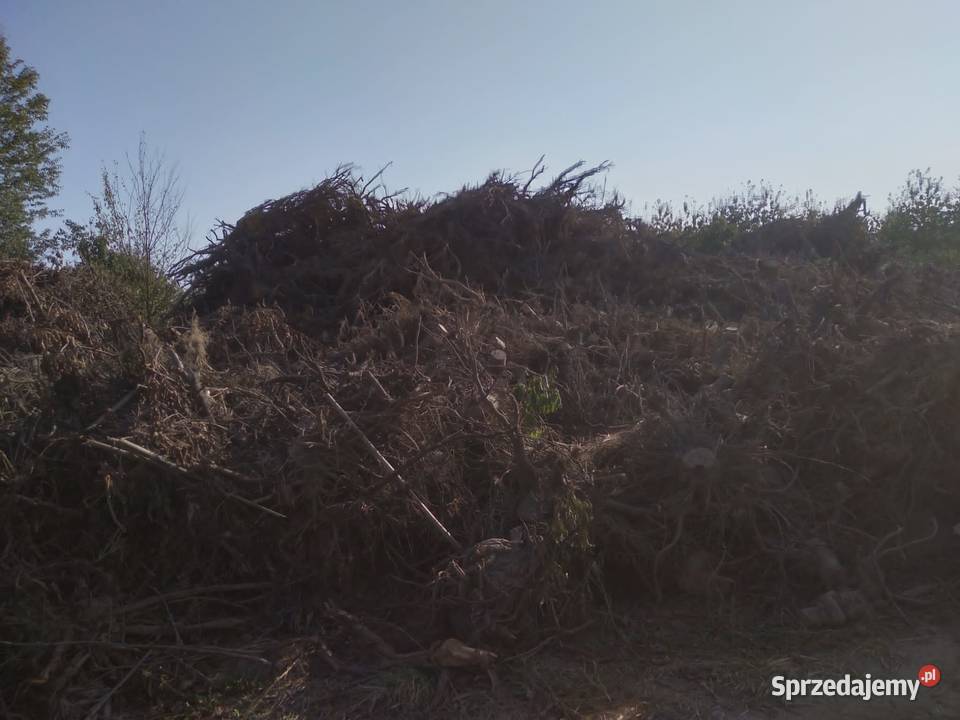 Przyjmę gałezie korzenie konary drewno palety Gąbin