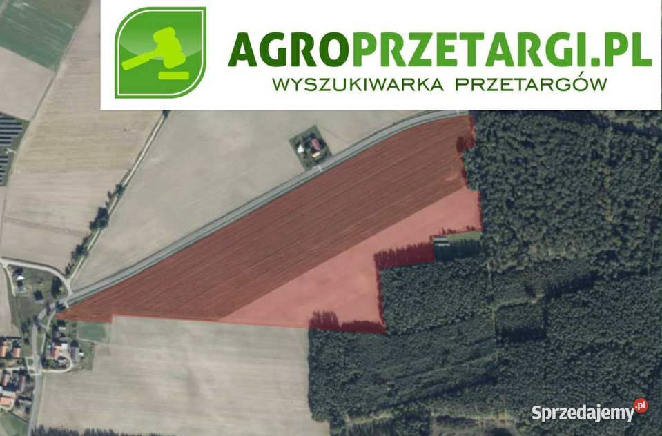 Dzierżawa 2011 ha gruntu rolnego Kościan