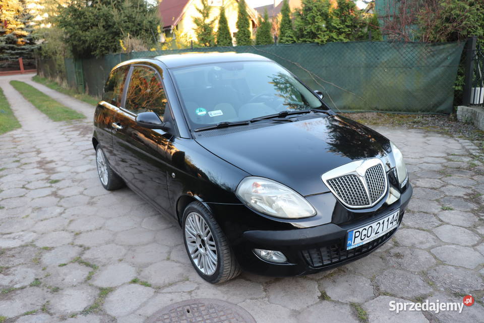 Lancia Ypsilon 12 16V 80 2006 r Rok produkcji 2006 Poznań