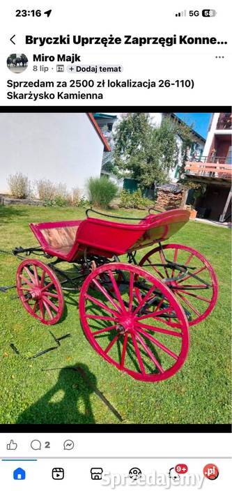 Sprzedam unikatową wagonetkdorożkę Pozostałe