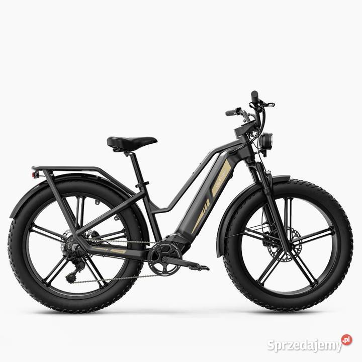 Fiido TITAN 2025 solidny niezastąpiony 55Nm 250W Tarnobrzeg
