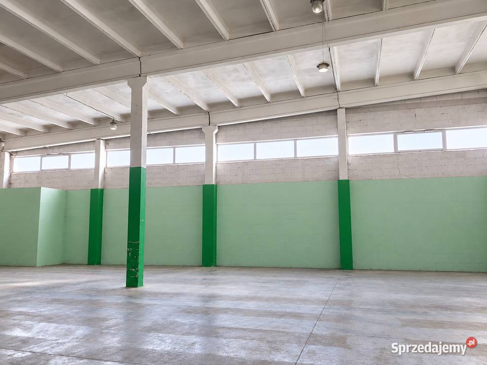 Hala magazynowousługowa 1 200 m Sokołów Podlaski sprzedam