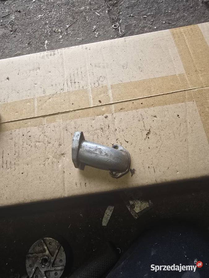 Krociec jawka Króćce