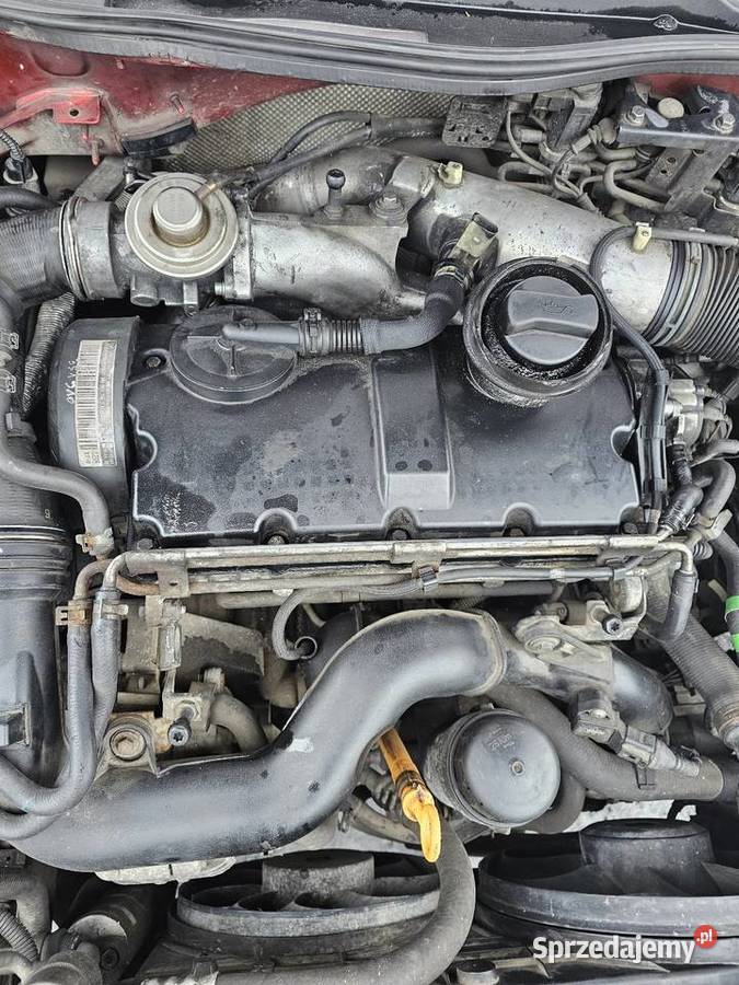 Silnik 19 tdi ARL Łagów