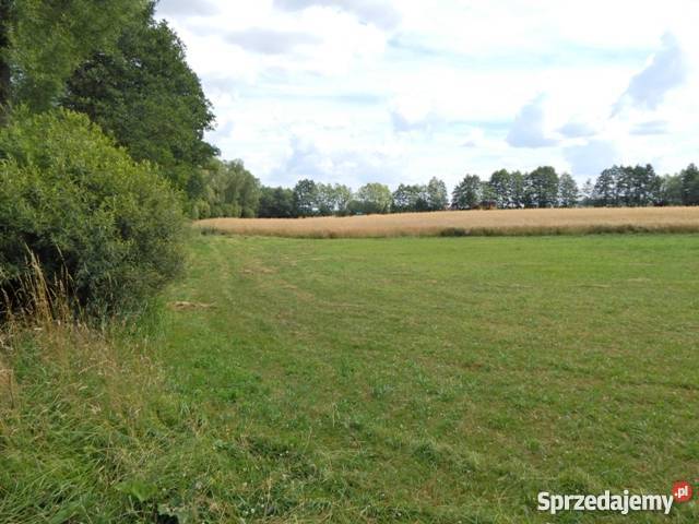 Ziemie 2h Małe Radowiska sprzedam