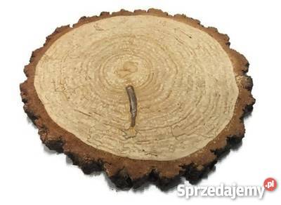 Plastry drewniane krążki brzoza 2022 szlifowane odcienie brązowego Dekoracje i ozdoby śląskie Rybnik