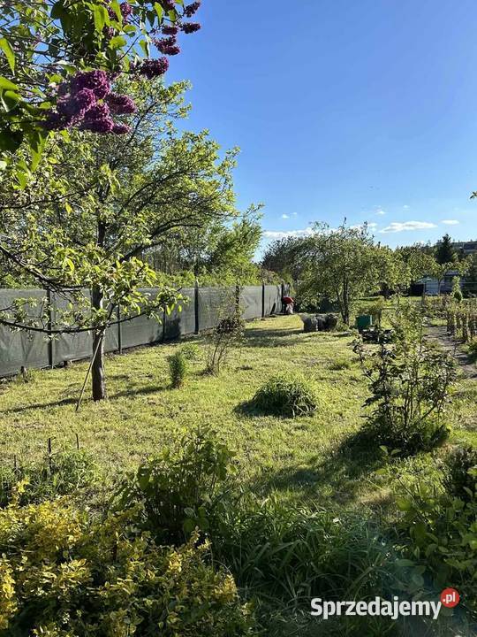 Działka ROD Księże Małe Wrocław