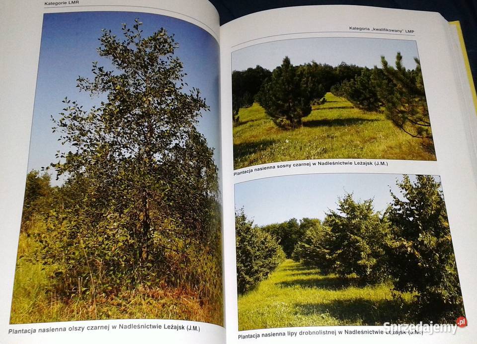 Leśna baza nasienna w Polsce Wojciech Fonder Jan Rok wydania 2007