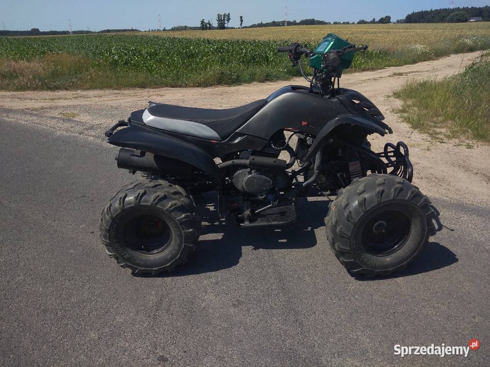 Bashan 200 Rok produkcji 2025 Bashan Września