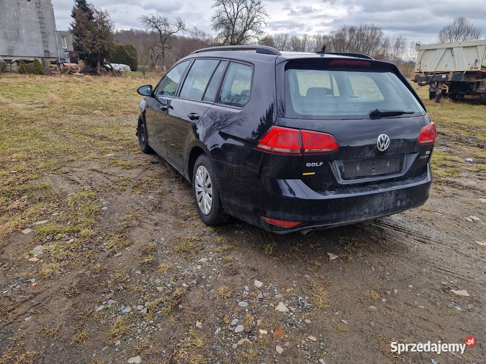 Vw Golf VII 16TDI z Niemiec Okazja Zgorzelec