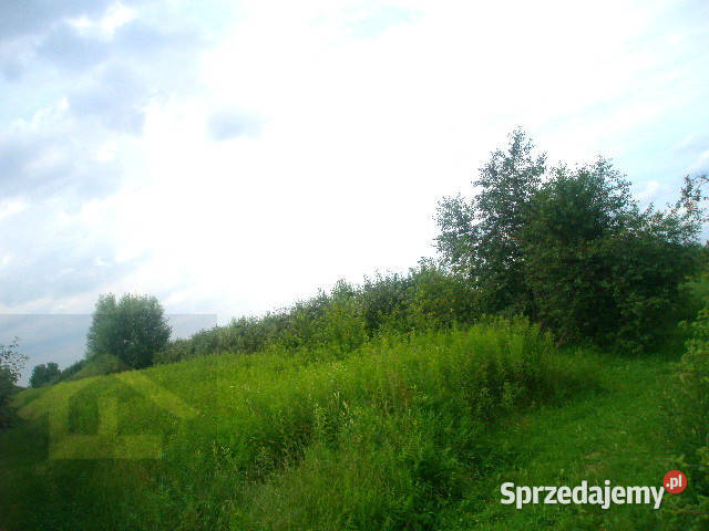 Działka w Nadbrzeżu sprzedam