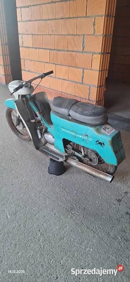 Sprzedam Jawka dolnośląskie