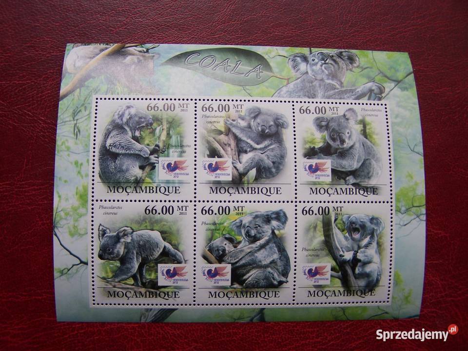 Mozambik 2011 MNH Fauna Zwierzęta Koala NADRUK