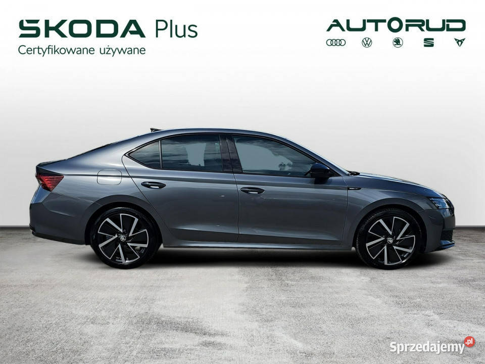 koda Octavia 15eTSI 150 DSG Sportline 2024 1WŁ ESP Octavia świętokrzyskie Kielce