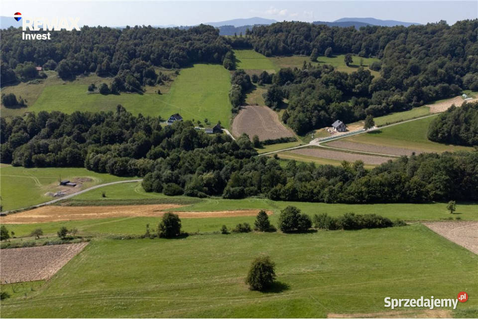Prywatny las 3331 m2 Twoja przestrzeń w naturze Młynne sprzedam