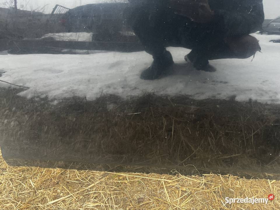 Drzwi BMW e60 Trzcinica sprzedam