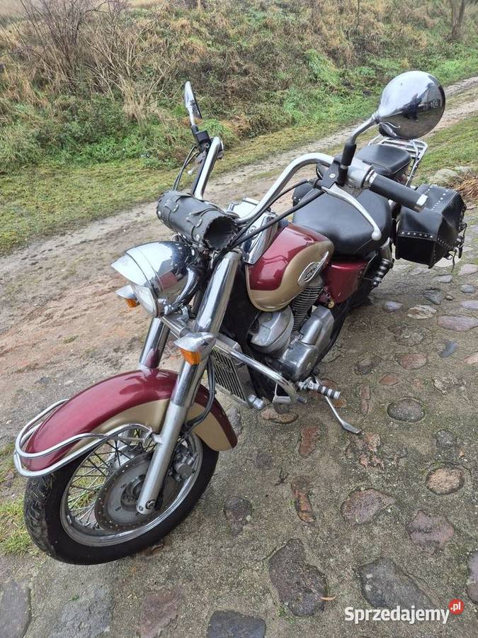 Honda Shadow 750 Gulcz