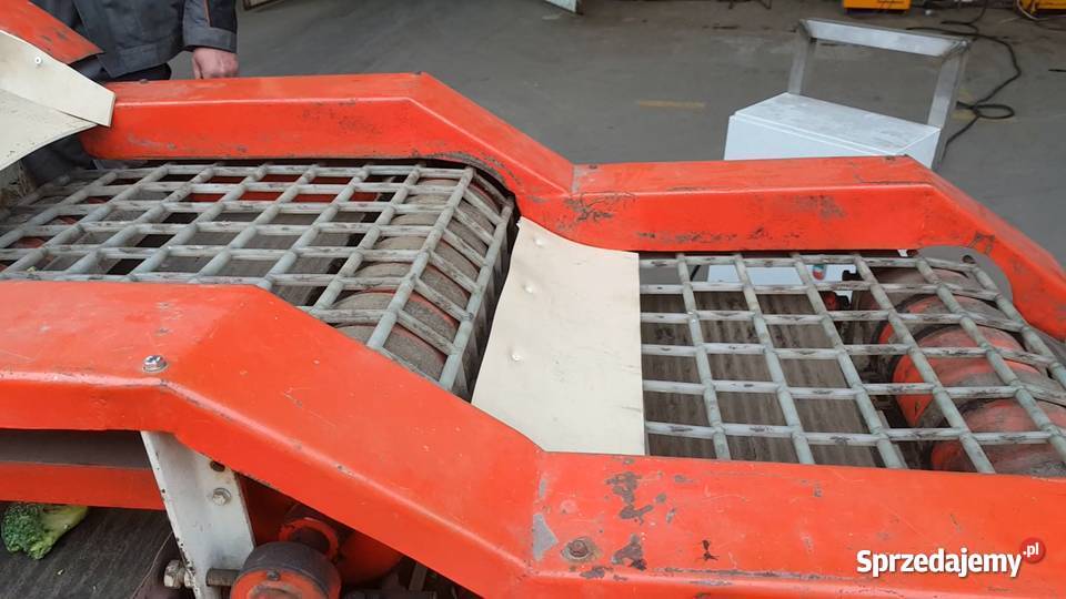 Sortownik przepływowy Obiegowy Cebula Ziemniak Środa Wielkopolska