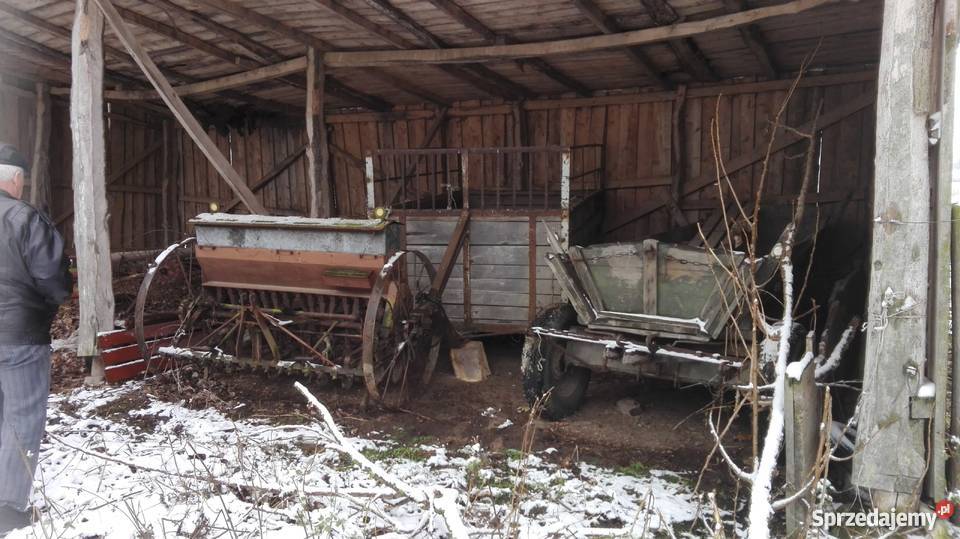 Wóz konny nieuszkodzony Uniejów