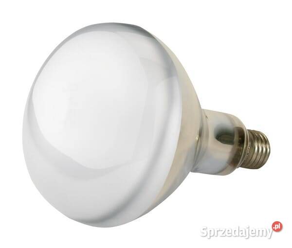 Promiennik podczerwieni 250W biały 22252KER Rolnictwo Kamionna sprzedam