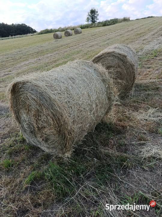 Siano słoma baloty 120x120 Wola Radziszowska