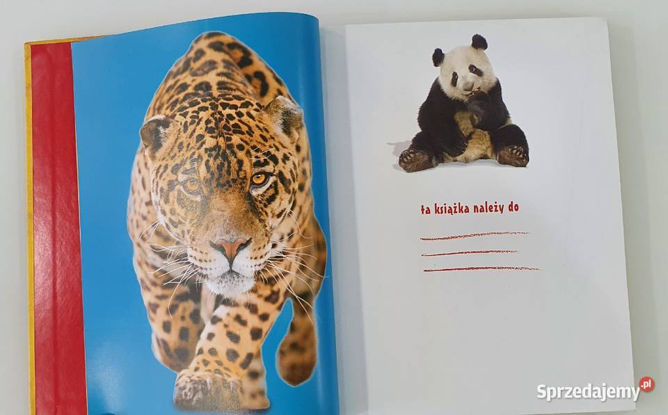 Zwierzaki świata Część 2
Martyna Wojciechowska