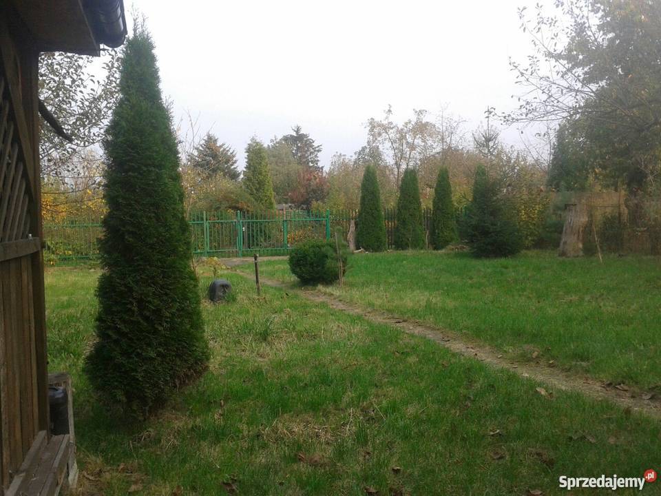 Sprzedam działkę w ROD AUGUSTOWKA 1 Mokotów 480 Warszawa sprzedam