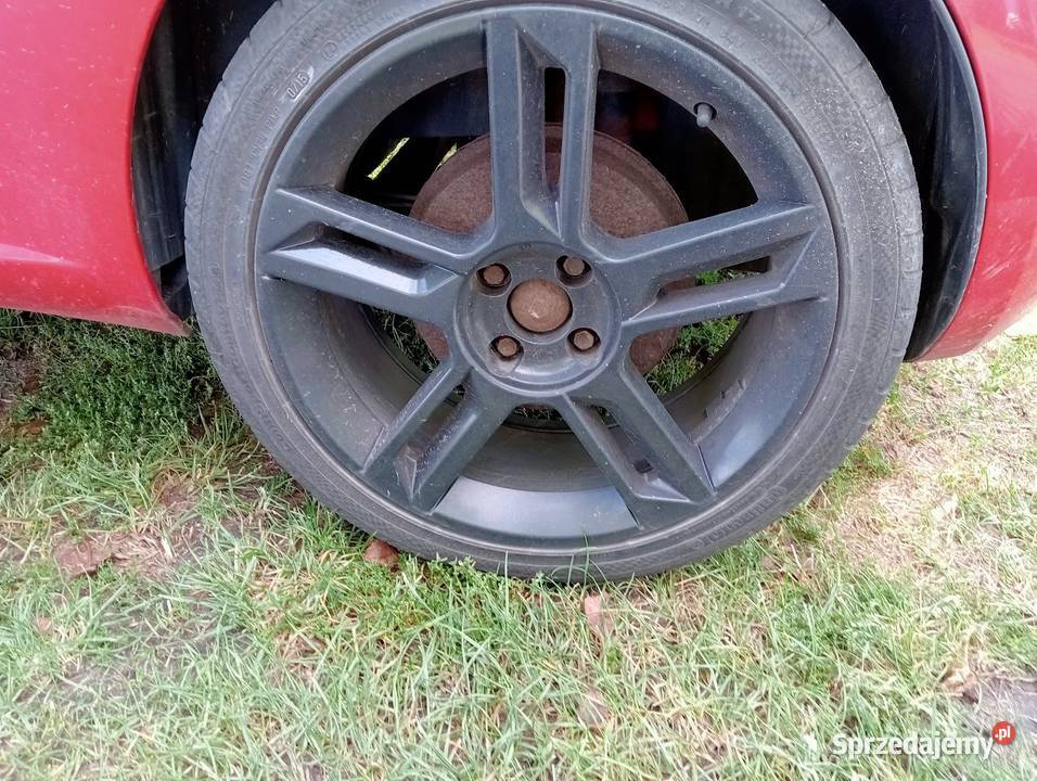 Sprzedam wielkopolskie