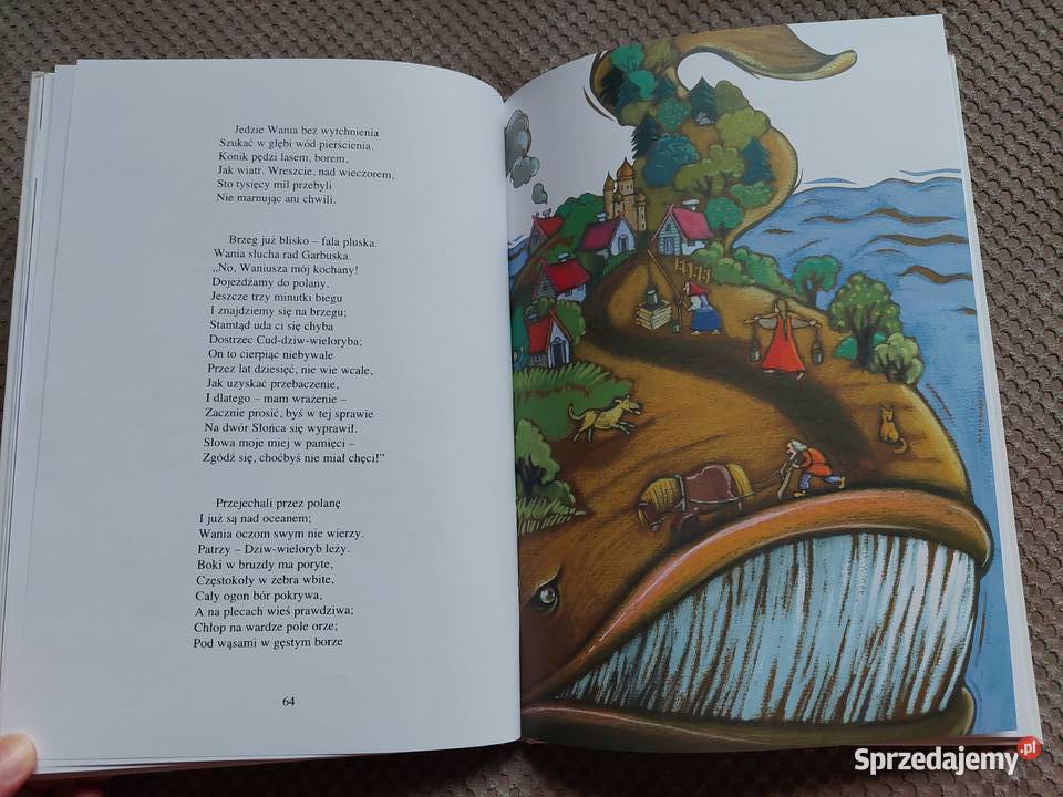 Konik Garbusek Piotr Jerszow twarda