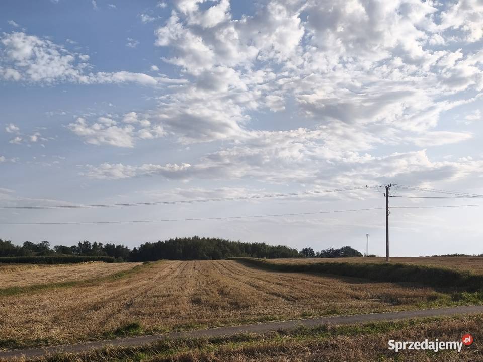 NA Sprzedaż DZIAŁKA ROLNA W ŁYCZAKOWIE Łyczaków
