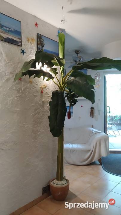 Sztuczne drzewko bananowiec 250 w donicy Warszawa