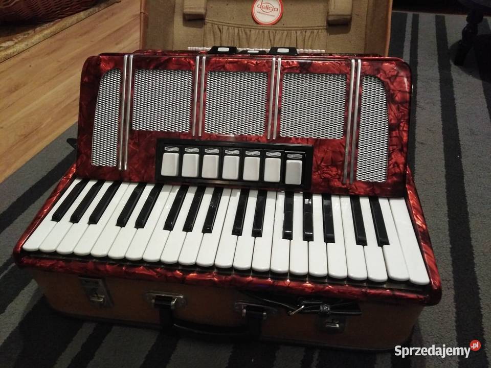 Akordeon Delicia Carmen XII super stan Maków Maków Mazowiecki