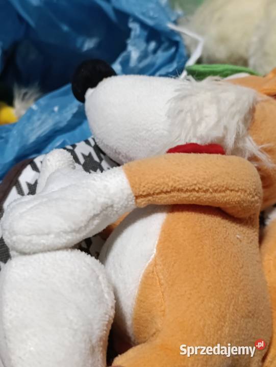 Pluszak przedstawia Ferdi Fuchsa maskotkę Poznań sprzedam