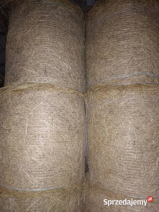 Siano suche i pogodne